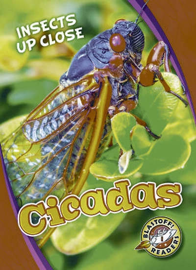 Cicadas