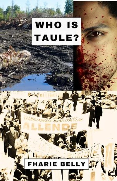 WHO IS TAULE