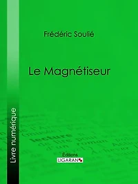 Le Magnétiseur