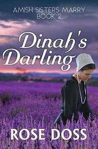 Dinah's Darling (Amish Sisters Marry Romance series, Bk2): Amish Sisters Marry, #2