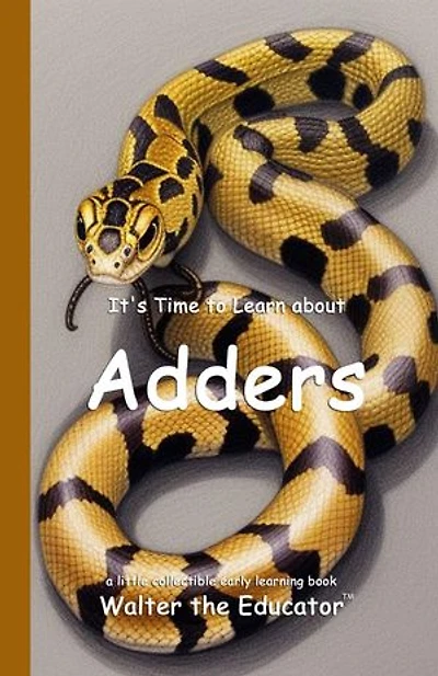 It's Time to Learn about Adders