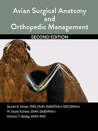 Avian Surgical Anatomy And Orthopedic Management