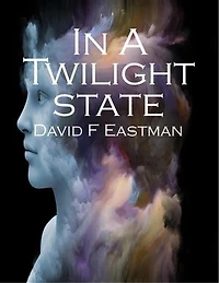 In A Twilight State