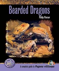 Bearded Dragons (Complete Herp Care)