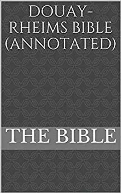 Douay Rheims Bible (Catholic): Perfect Bible for Prayer