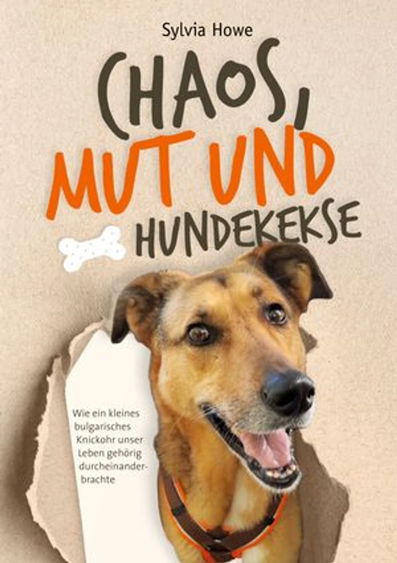 Chaos, Mut und Hundekekse: Wie ein kleines bulgarisches Knickohr unser Leben gehörig durcheinanderbrachte