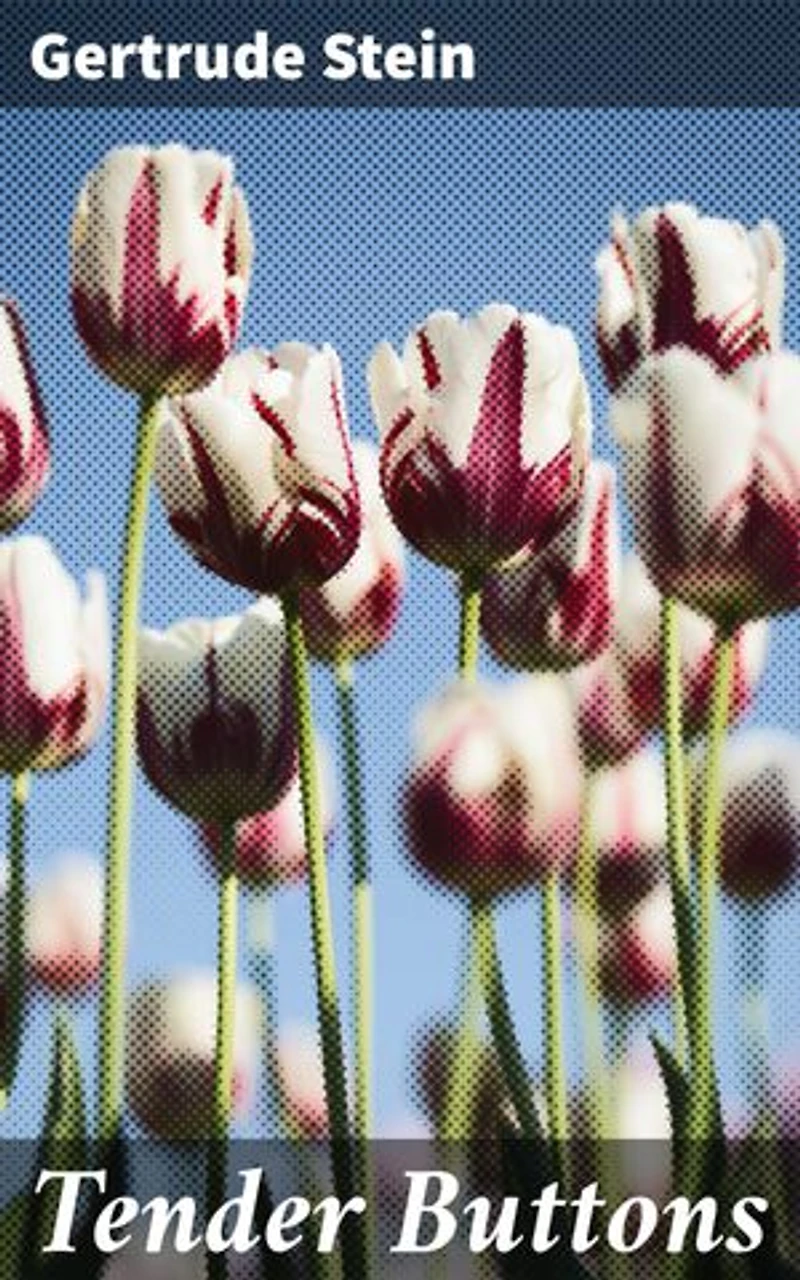 Tender Buttons: Enriched edition. Exploring Language and Narrative Innovation in Modernist Prose