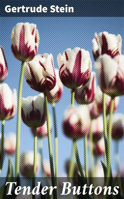 Tender Buttons: Enriched edition. Exploring Language and Narrative Innovation in Modernist Prose