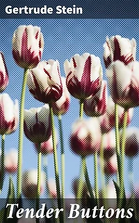 Tender Buttons: Enriched edition. Exploring Language and Narrative Innovation in Modernist Prose