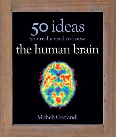 50 Human Brain Ideas You Really Need to Know