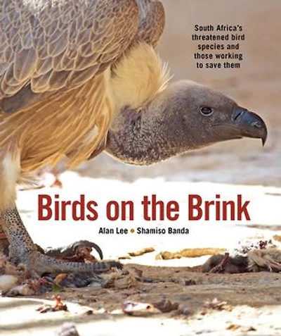 birds on the Brink: South Africa's threatened and those working to save them