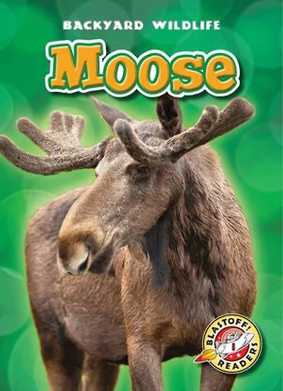 Moose