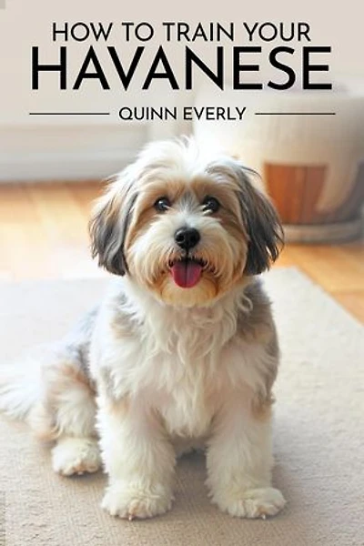 How to Train Your Havanese
