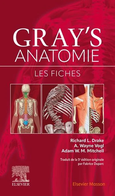 Gray's Anatomie - Les fiches