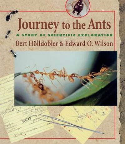 Journey to the Ants: A Story of Scientific Exploration