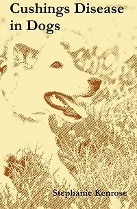 Cushing's Disease in Dogs