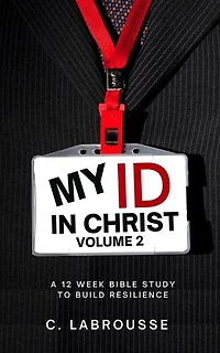 My ID in Christ Volume 2: building a resilient ministry, #1
