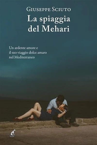 La spiaggia del Mehari: Un ardente amore e il suo viaggio dolce amaro nel Mediterraneo