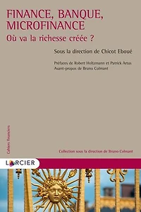Finance, banque, microfinance: où va la richesse créée ?