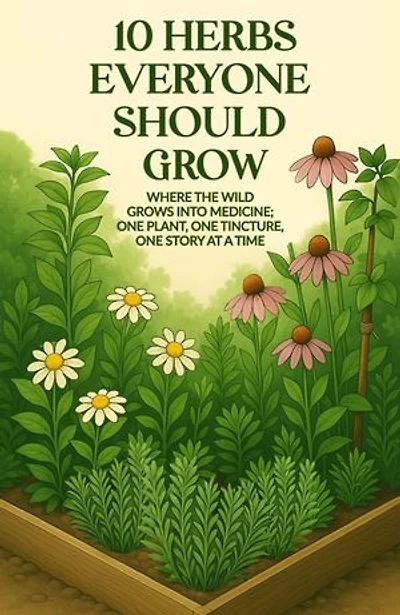 10 Herbs Everyone Should Grow: Where The Wild Grows Into Medicine; One Plant ,One Tincture ,One Story At a Time