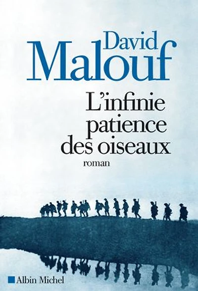 Infinie patience des oiseaux