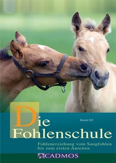 Die Fohlenschule: Fohlenerziehung vom Saugfohlen bis zum ersten Anreiten