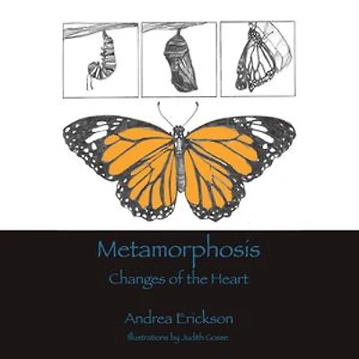 Metamorphosis: Changes of the heart
