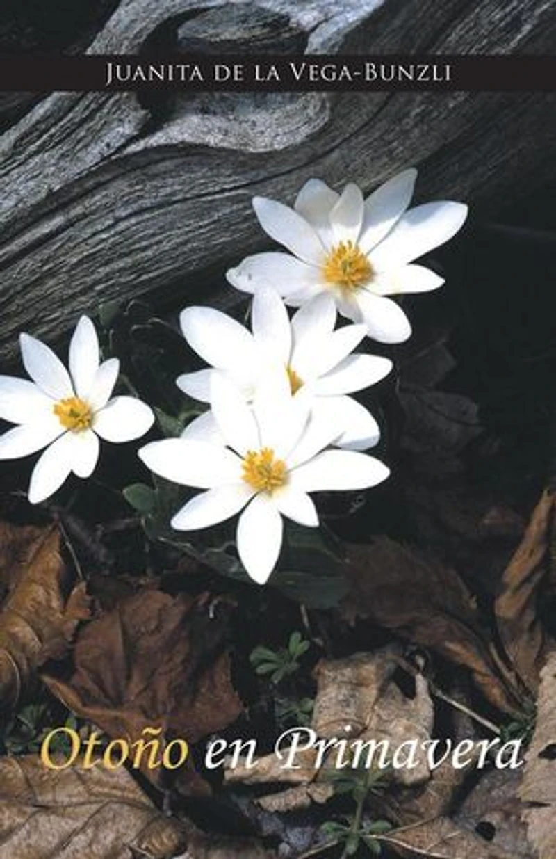 Otono En Primavera