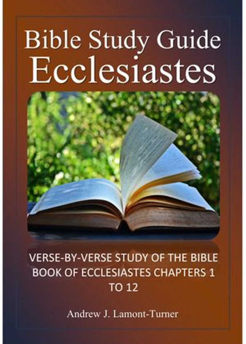 Bible Study Guide: Ecclesiastes: Verse-By-Verse Study of the Bible Book of Ecclesiastes Chapters 1 to 12
