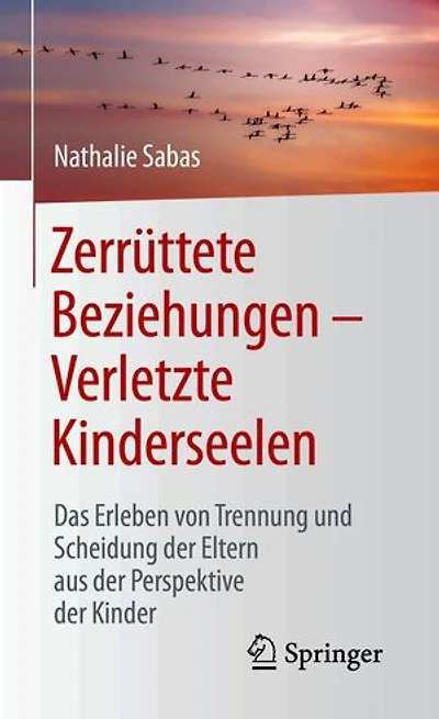 Zerrüttete Beziehungen – Verletzte Kinderseelen: Das Erleben von Trennung und Scheidung der Eltern aus der Perspektive der Kinder