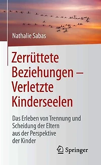 Zerrüttete Beziehungen – Verletzte Kinderseelen: Das Erleben von Trennung und Scheidung der Eltern aus der Perspektive der Kinder
