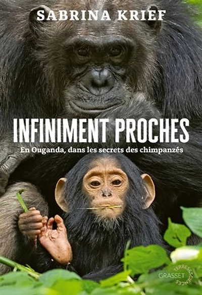 Infiniment proches: en Ouganda, dans les secrets des chimpanzés