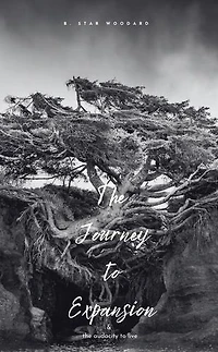 The Journey to Expansion: & The Audacity to Live