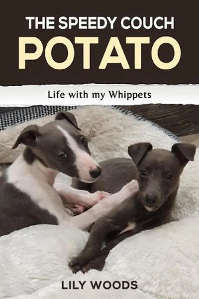 The Speedy Couch Potato