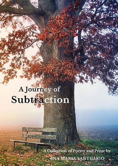 A Journey of Subtraction: A Collection of Poetry and Prose