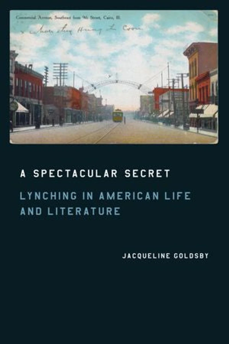 A Spectacular Secret: Lynching American Life and Literature