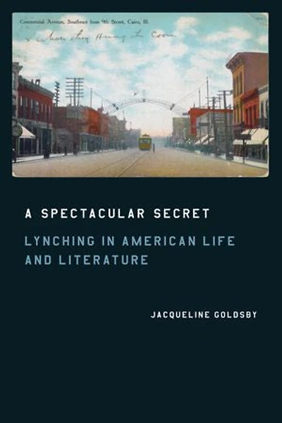 A Spectacular Secret: Lynching American Life and Literature