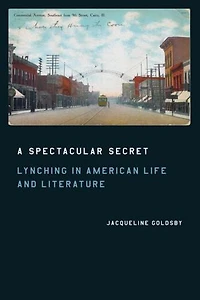 A Spectacular Secret: Lynching American Life and Literature
