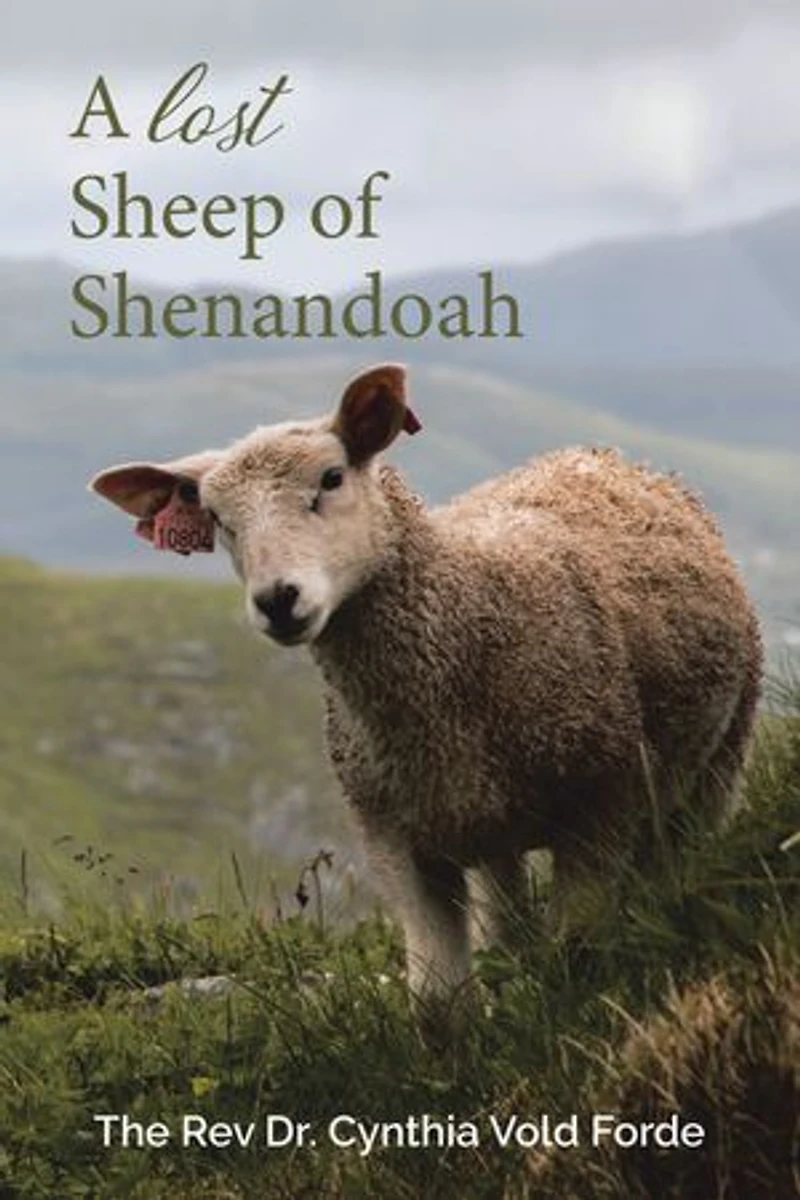 A Lost Sheep of Shenandoah: Charles Edwin Rinker Virginia and Harry Bernard King Iowa: Dna Reveals They Were the Same Man