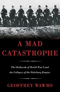 A Mad Catastrophe: the Outbreak of World War I and Collapse Habsburg Empire