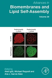 Advances Biomembranes and Lipid Self-Assembly