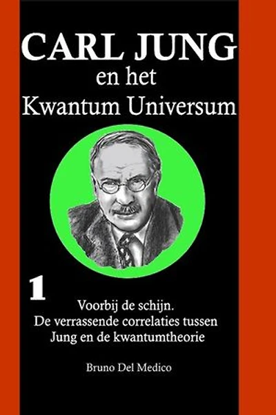 Carl Jung en het Kwantum Universum: Voorbij de schijn. De verrassende correlaties tussen Jung en de kwantumtheorie.