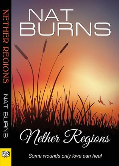Nether Regions