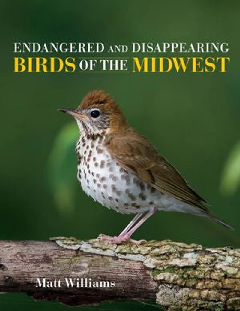 Endangered And Disappearing Birds Of The Midwest