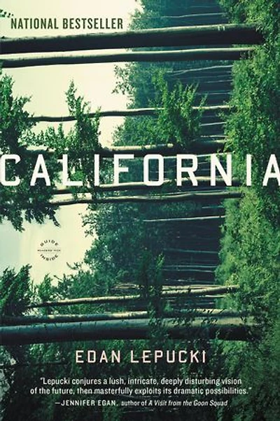 California: A Novel