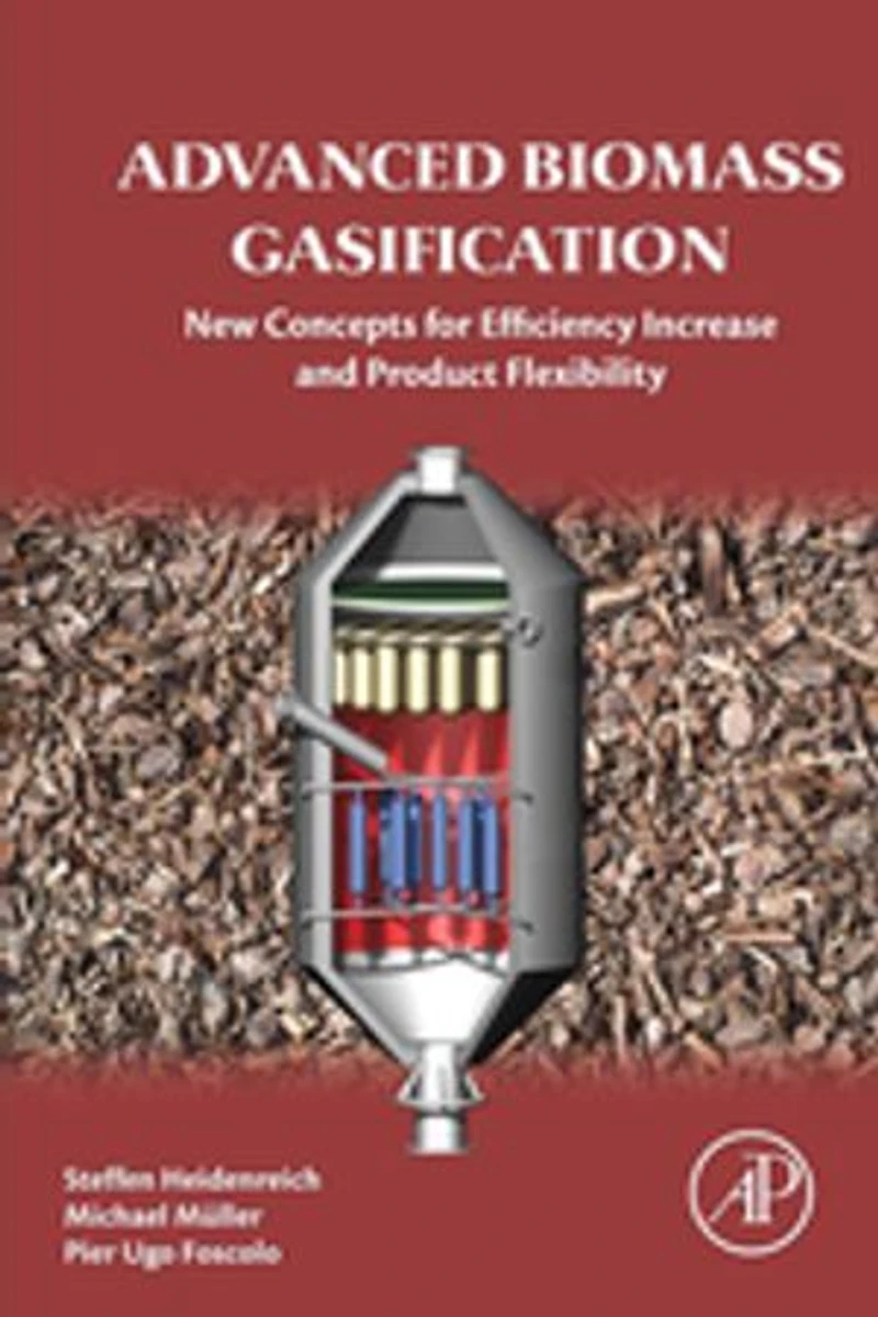 Advanced Biomass Gasification: New Concepts For Efficiency Increase And Product Flexibility