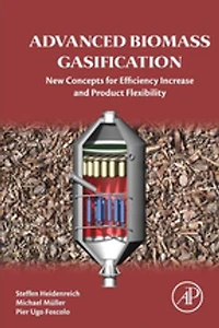 Advanced Biomass Gasification: New Concepts For Efficiency Increase And Product Flexibility