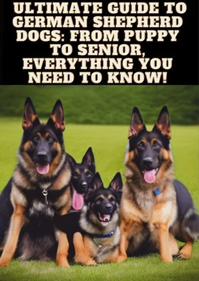 Ultimate Guide to German Shepherd Dogs: From Puppy to Senior, Everything You Need to Know!