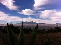El Lazo de Orion