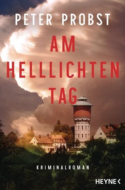 Am helllichten Tag: Kriminalroman - Basierend auf einem wahren Verbrechen